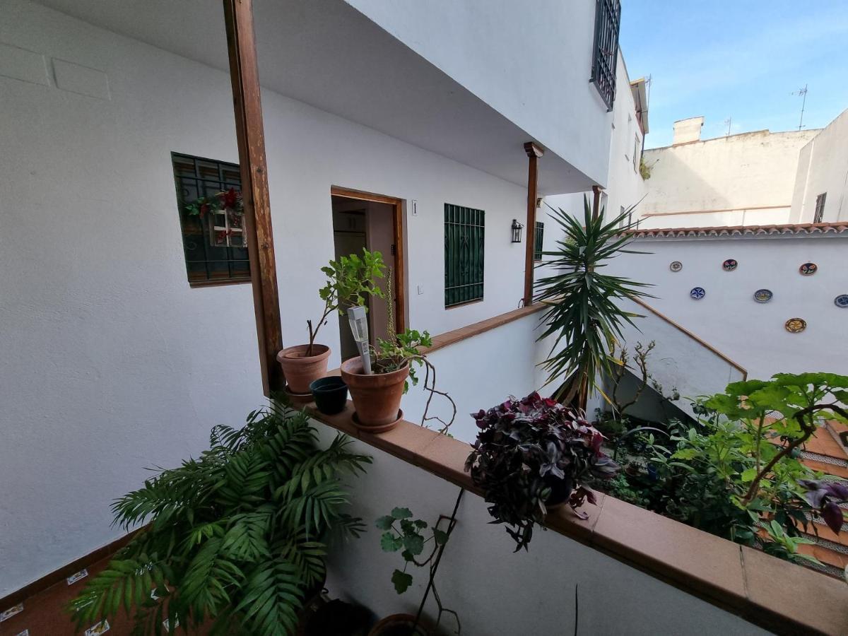 Apartamentos En Patio Cordobes San Basilio Córdova Exterior foto